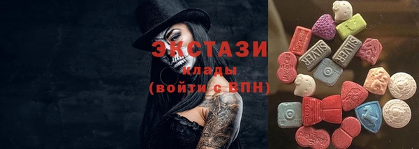 СК Инта